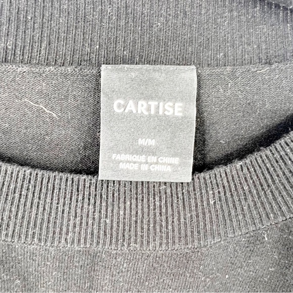 ✅ CARTISE CHEETAH SLEEVE BLACK SWEATER TOP SIZE MEDIUM - Picture 2 of 7